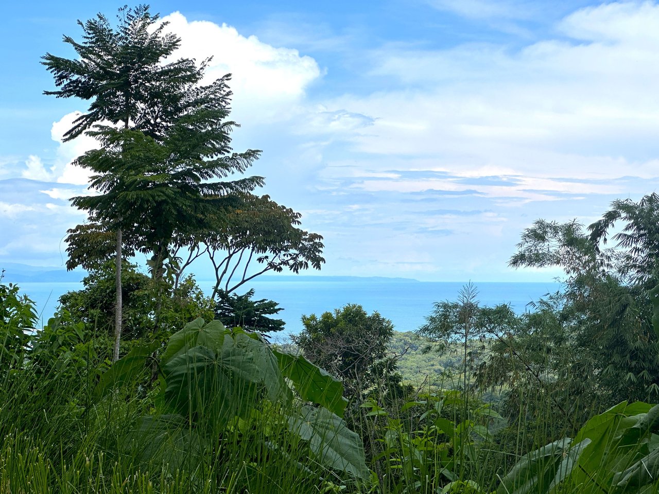 11.24 Acres With Two Stunning Ocean View Building Sites In Cinco Ventanas! Ojochal (Cinco Ventanas, Puntarenas, CR - 60504)