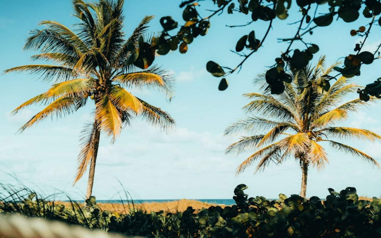 West Palm Beach, FL, County Real Estate Market Prices, Trends, and Forecast 2024