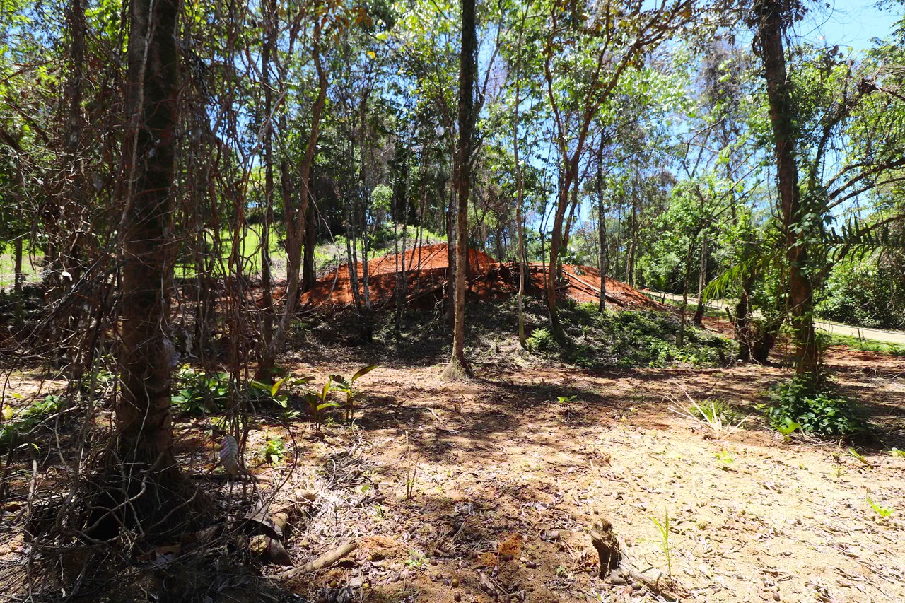 Over One Acre Attractive Lot on the Popular PEREZOSO Road.