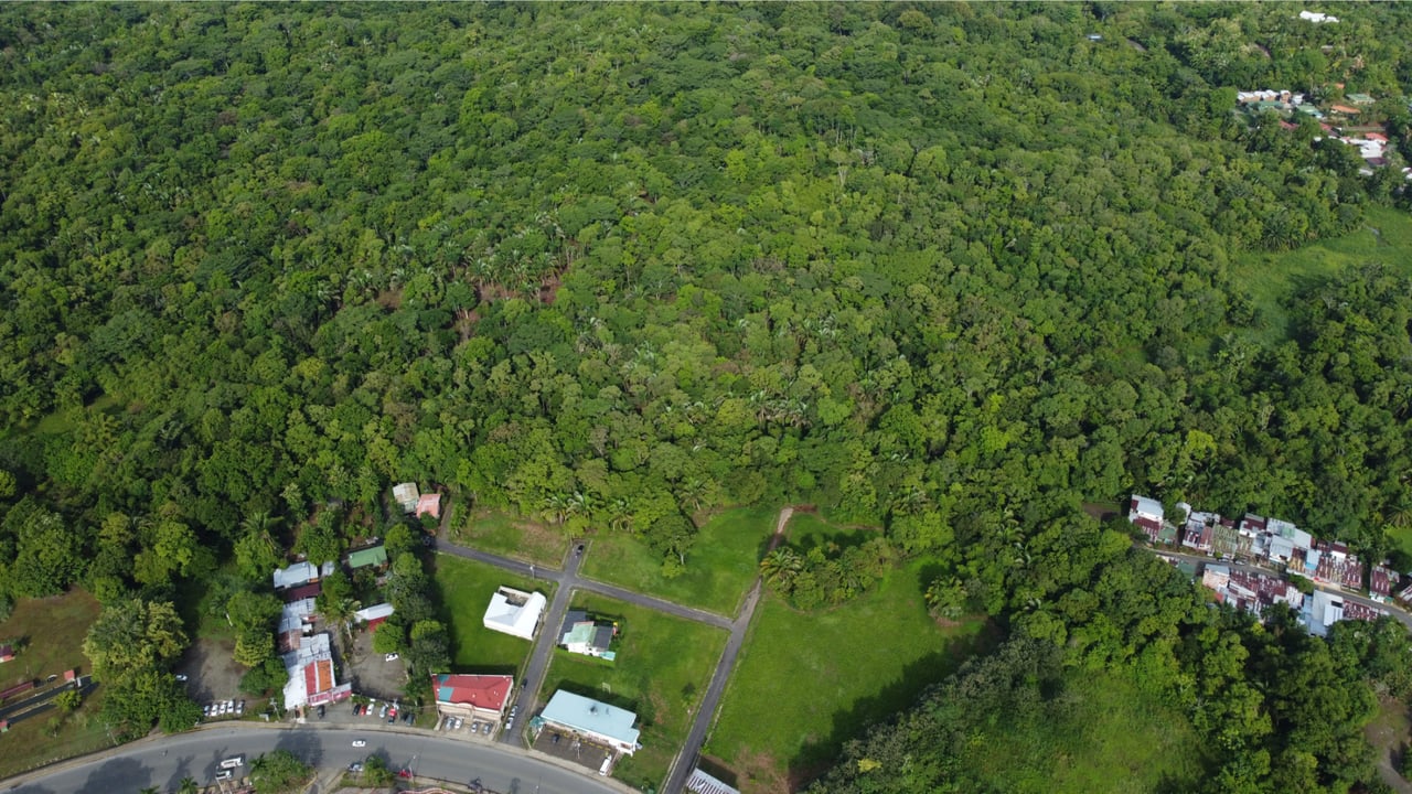 Large Development Acreage, Manuel Antonio, Puntarenas