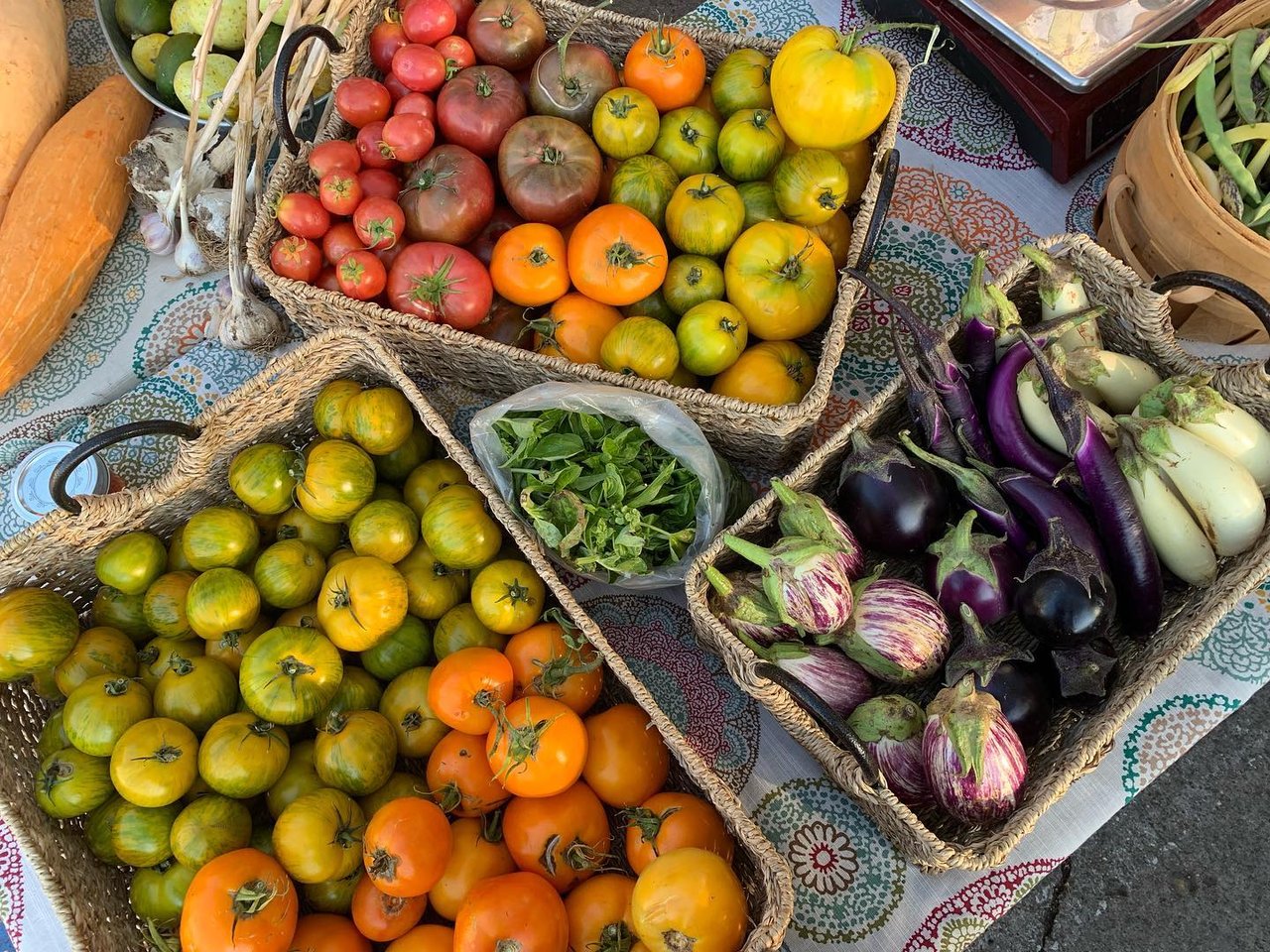 An Introduction to Urban Agriculture