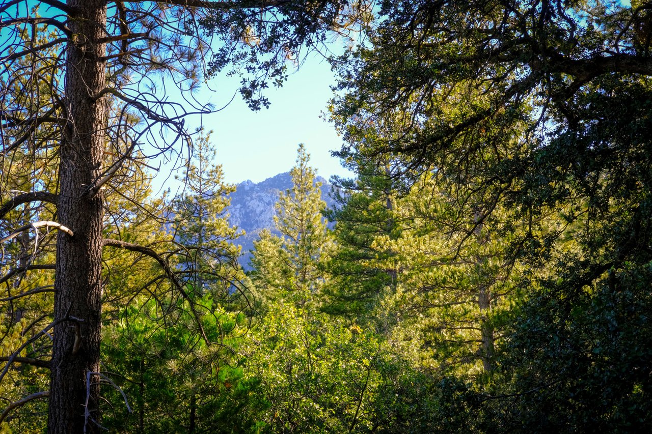 Rare Idyllwild Geodesic Dome 