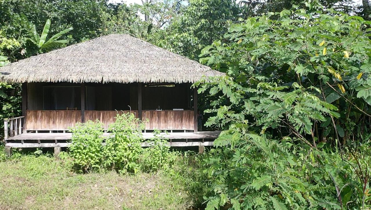 Sustainable Conservation Retreat, Osa, Puntarenas