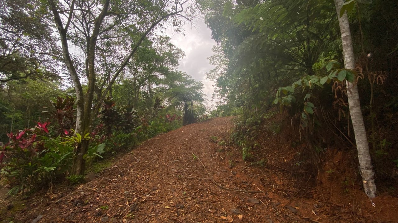 Ocean View Development Land, Ojochal, Puntarenas