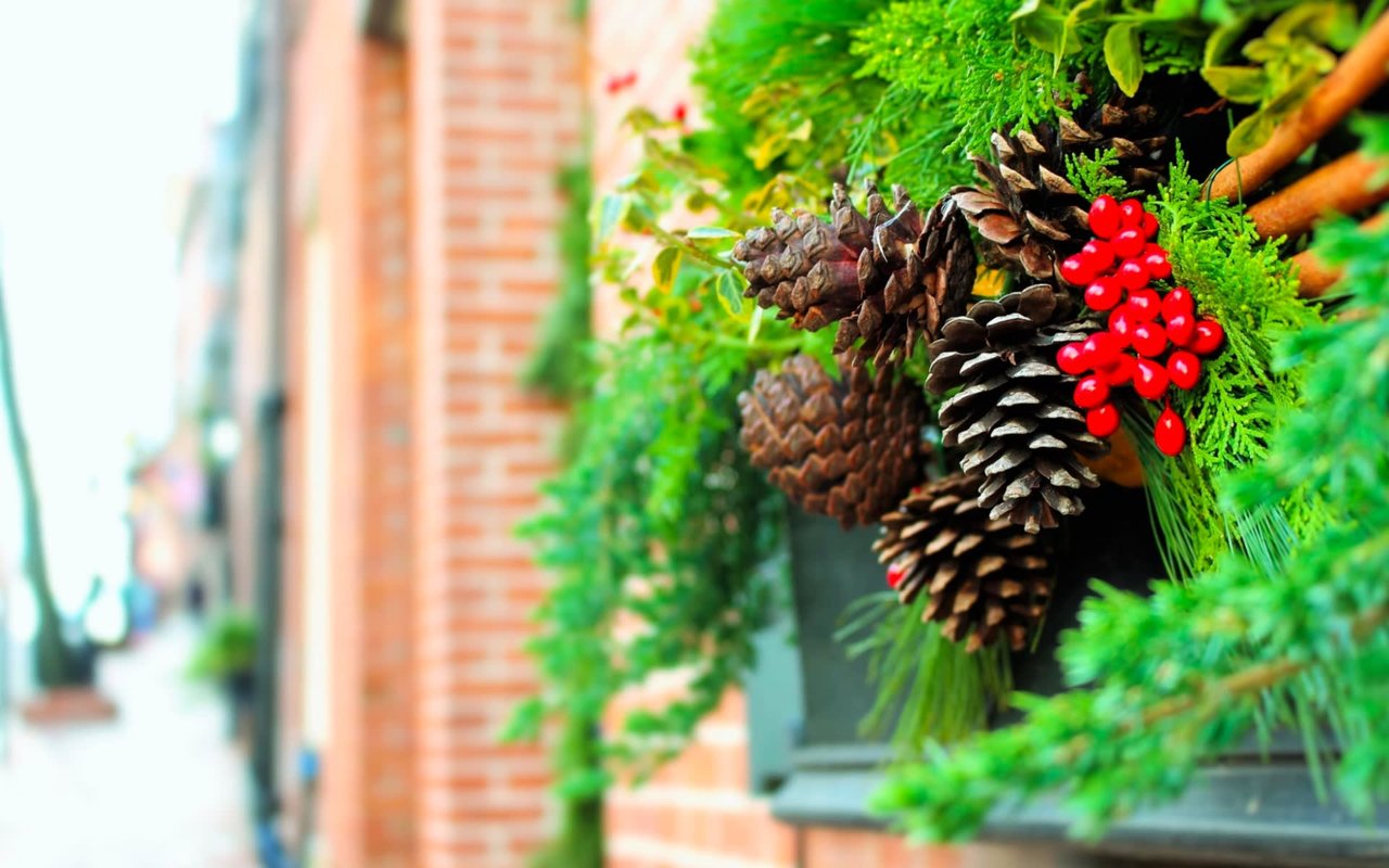 A planter with pine cones and berries.