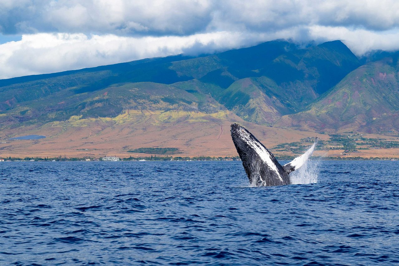 Kaanapali