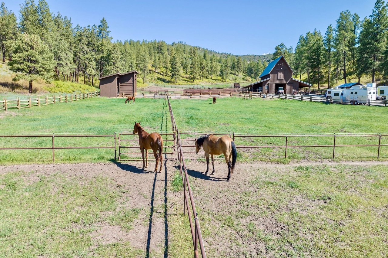 Pine Ridge Ranch