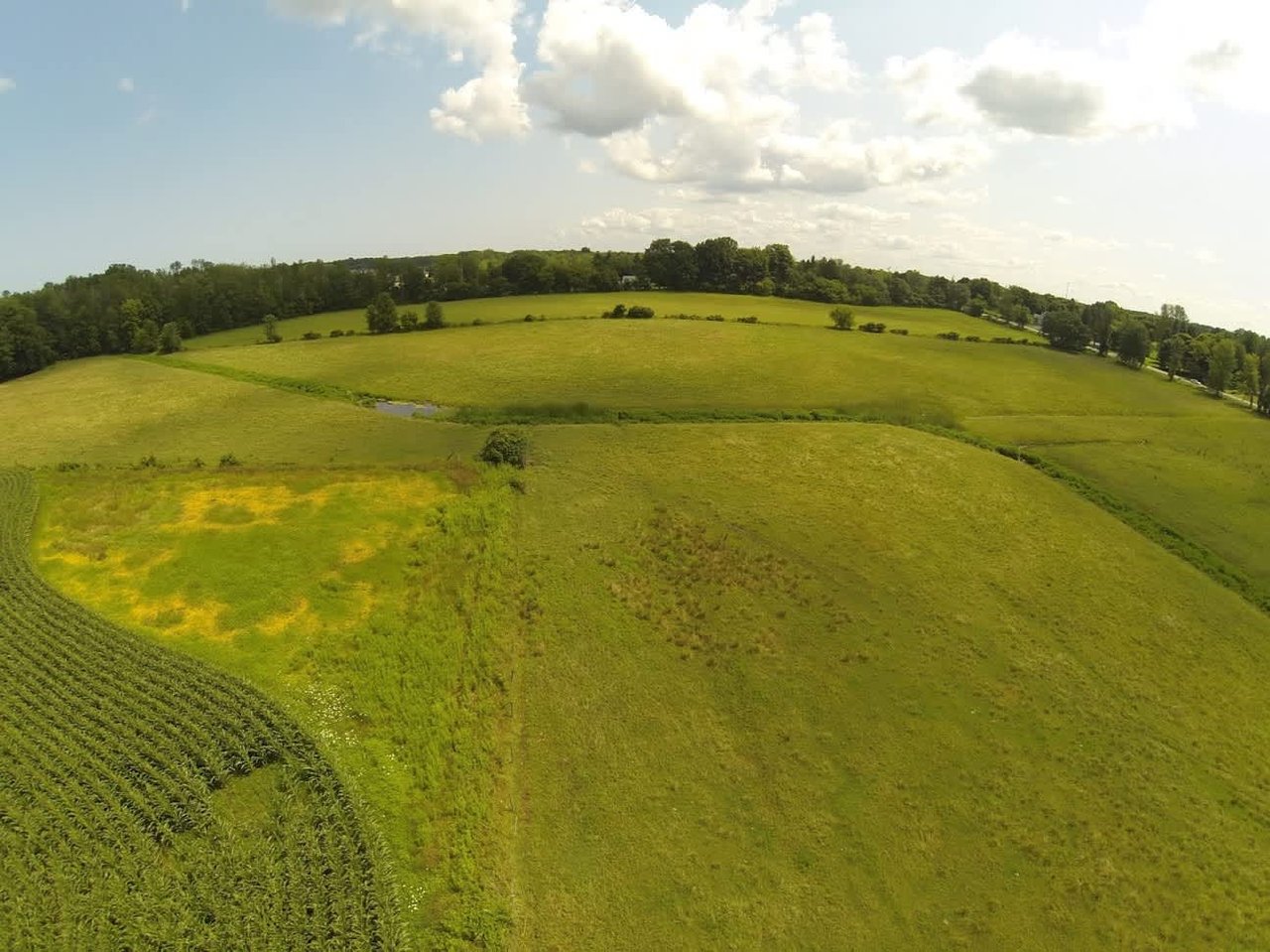 Cattle & Equine Farm