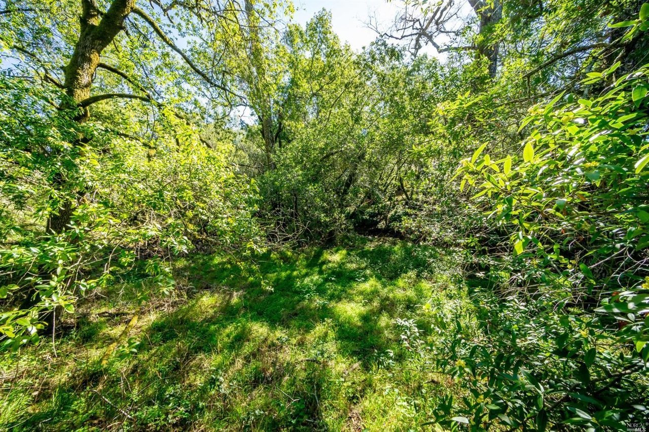 5289 Sonoma Mountain Rd