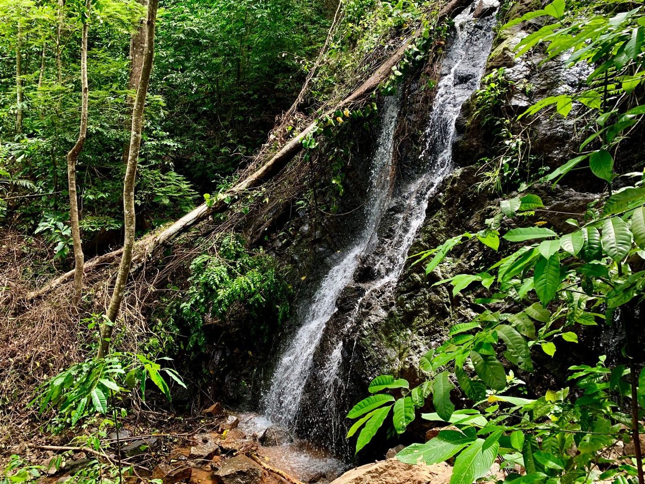 Triple Waterfall Ocean View Land, Dominical, Puntarenas