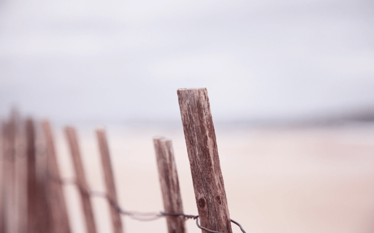The Hamptons: A Haven for Beachfront Estates