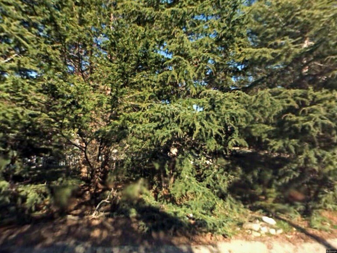1103 Arroyo Dr
