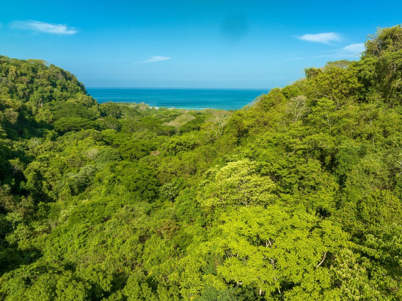 Large Development Land Lot, Santa Teresa, Puntarenas