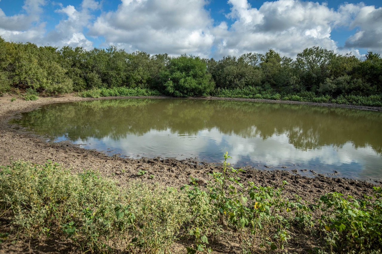 The Poco Loco | 278± Acres | DeWitt County