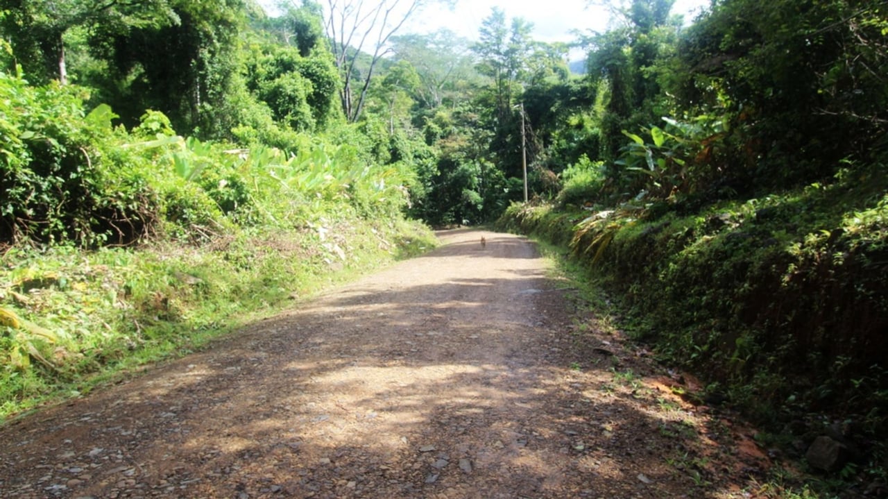 Waterfall Riverfront View Land, Uvita, Puntarenas