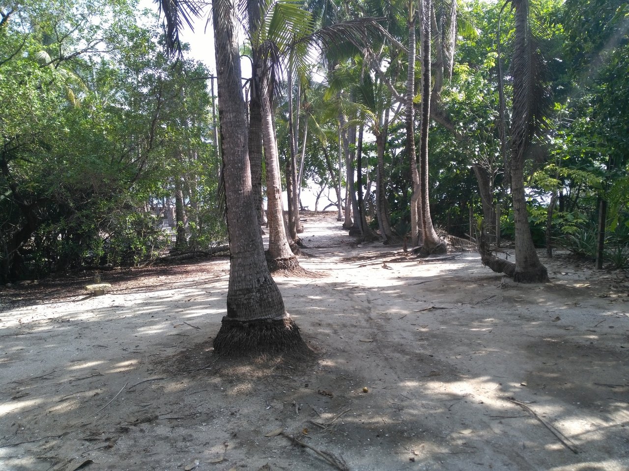 Private Secluded Beachfront Lot, Santa Teresa, Puntarenas