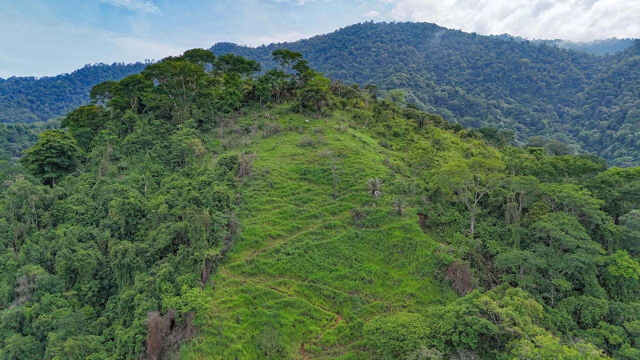 177 acre Ocean view property with multiple plantels, unspoiled mountain, jungle, river and waterfall areas