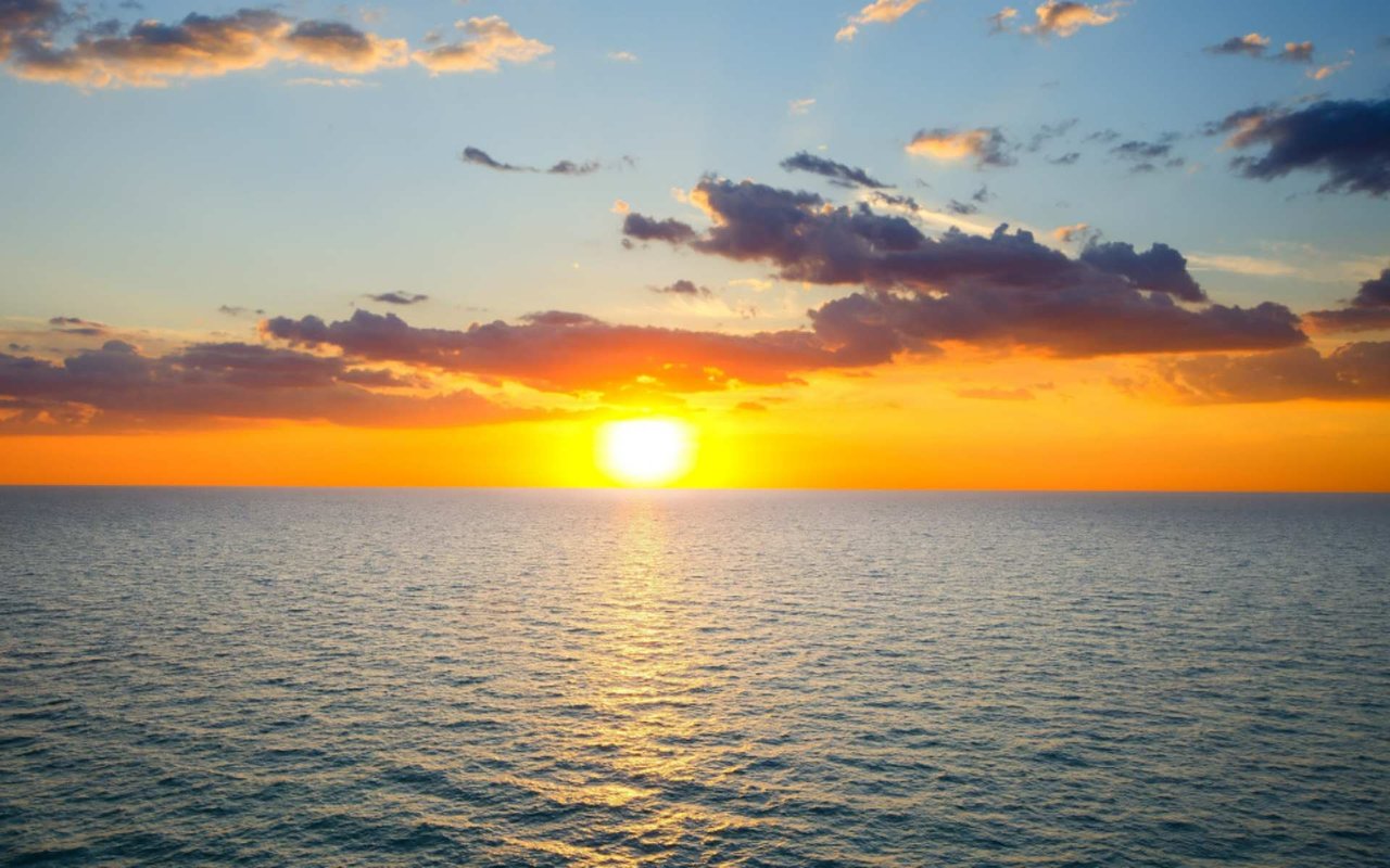 June 2020 Newsletter
