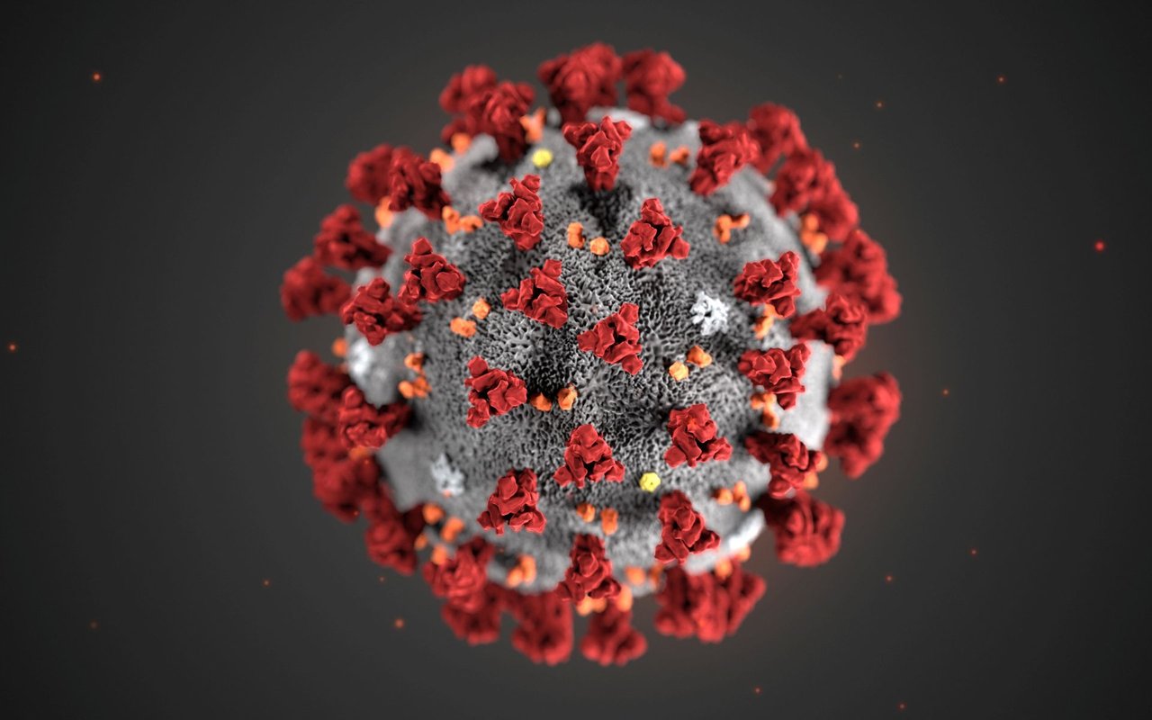 Some realtors suspend open houses amid coronavirus concerns