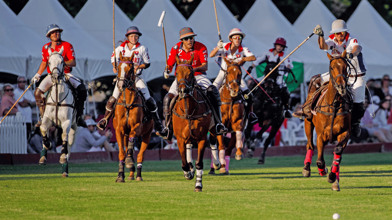 The Creative Edge | Newport International Polo Series