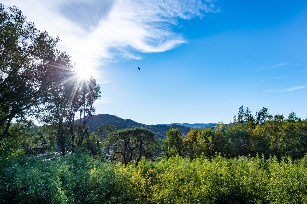 40 Crest Avenue, San Anselmo