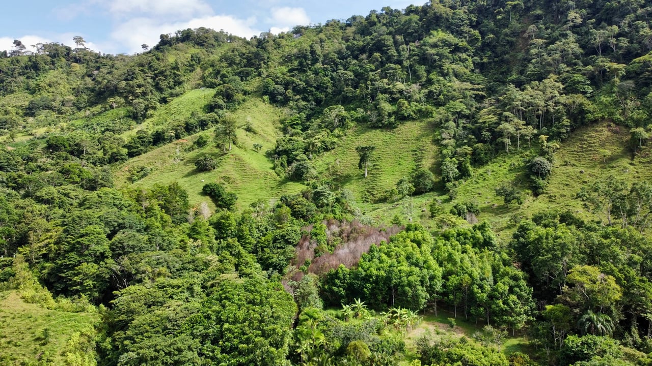 Stunning Ocean View Farm in San Luis de Morete, Over 23 Acres