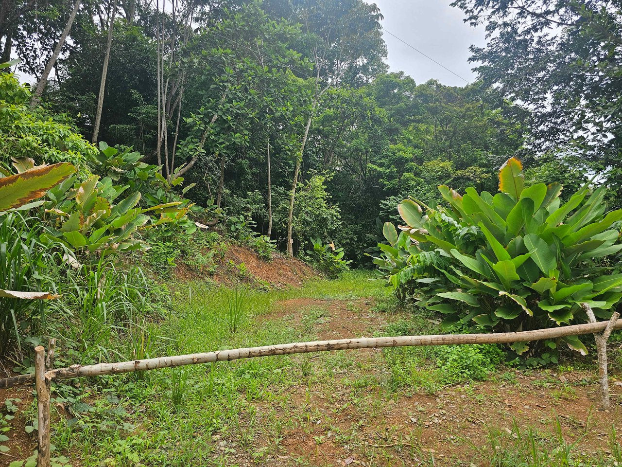 Discover Your Dream in Uvita's Prime Real Estate