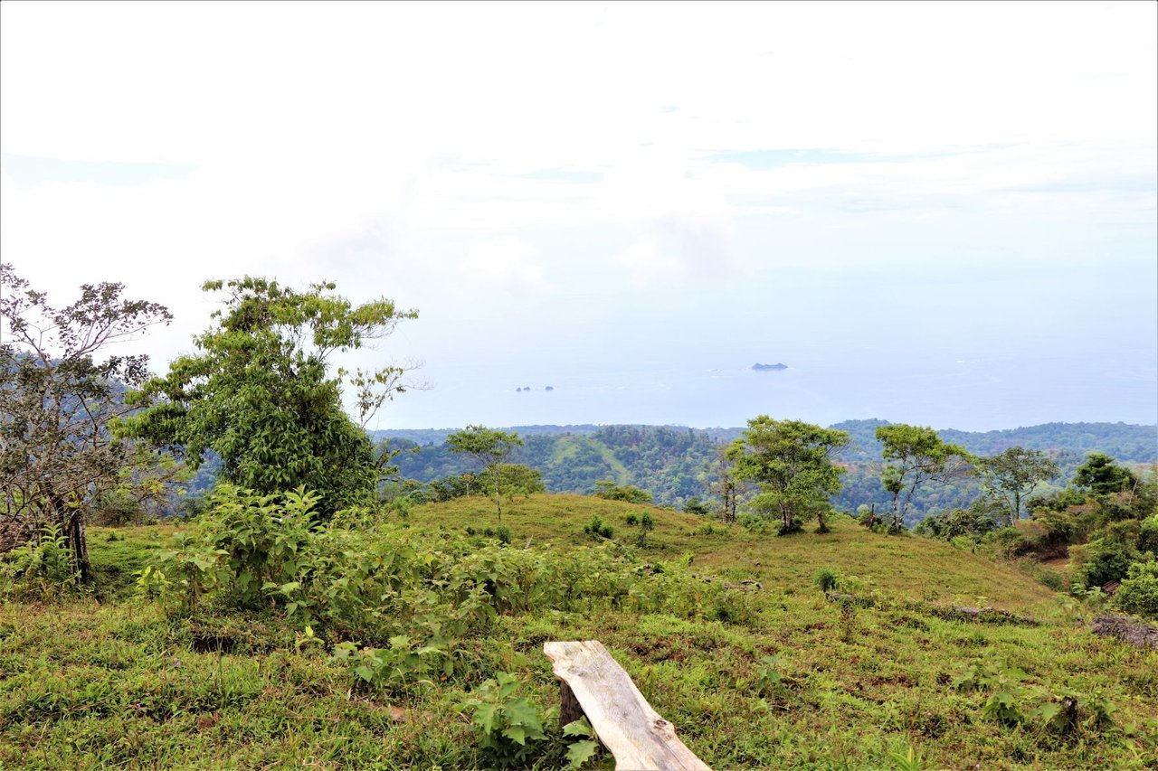 Ocean View Development Farms, Uvita, Puntarenas