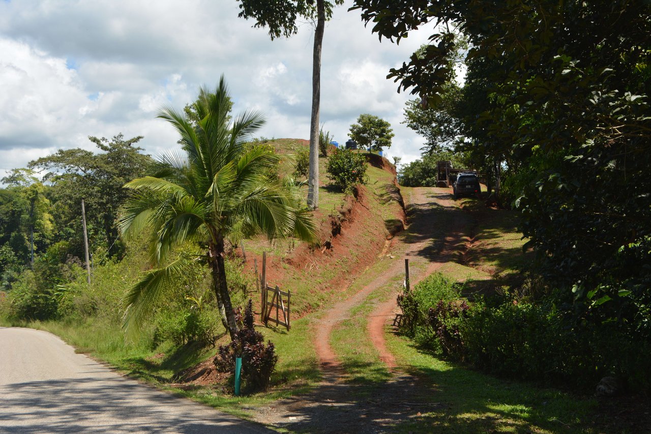 Osa Peninsula Los Mogos Magic Golfo Dulce Views 71 Acres