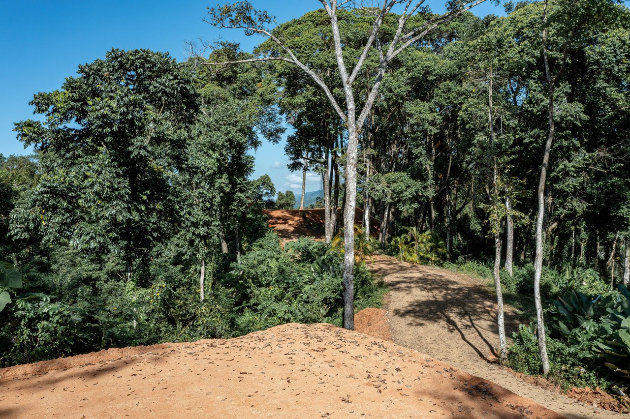 Secluded Ocean view Land in Dominical, Costa Rica