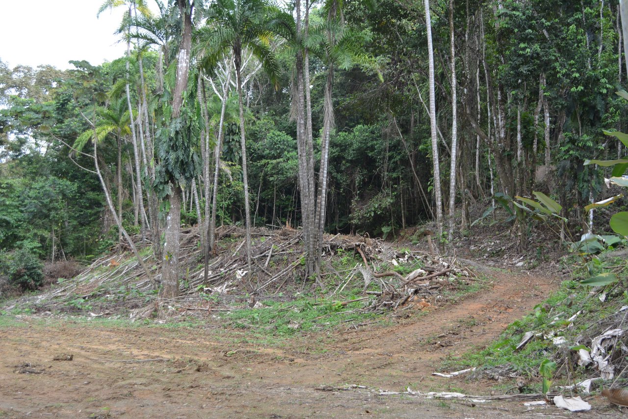 Lagunas 5 Lots 1 Acre+ Lagunas/Dominical