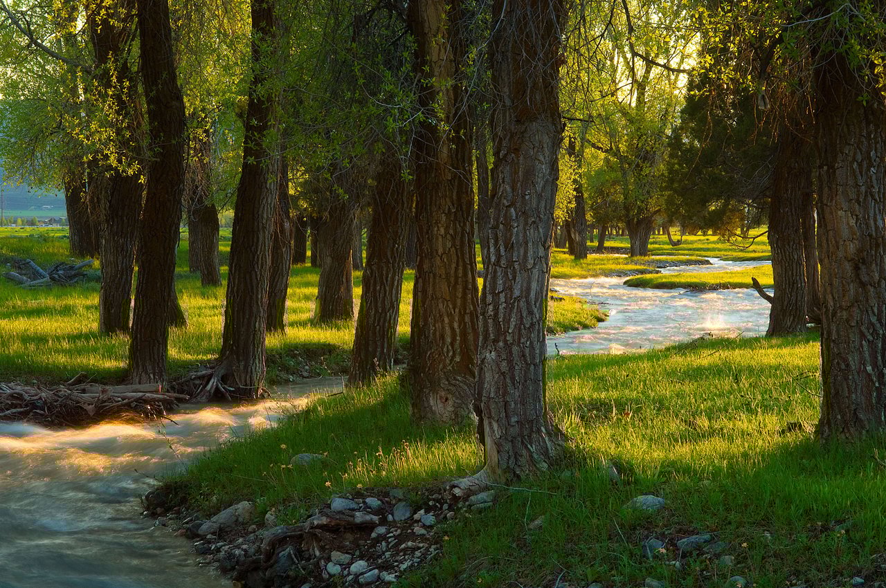 Star Valley Ranch