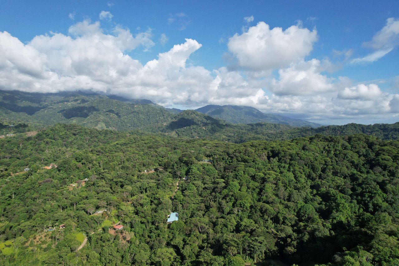 Majestic Expansive Mountain Backdrop