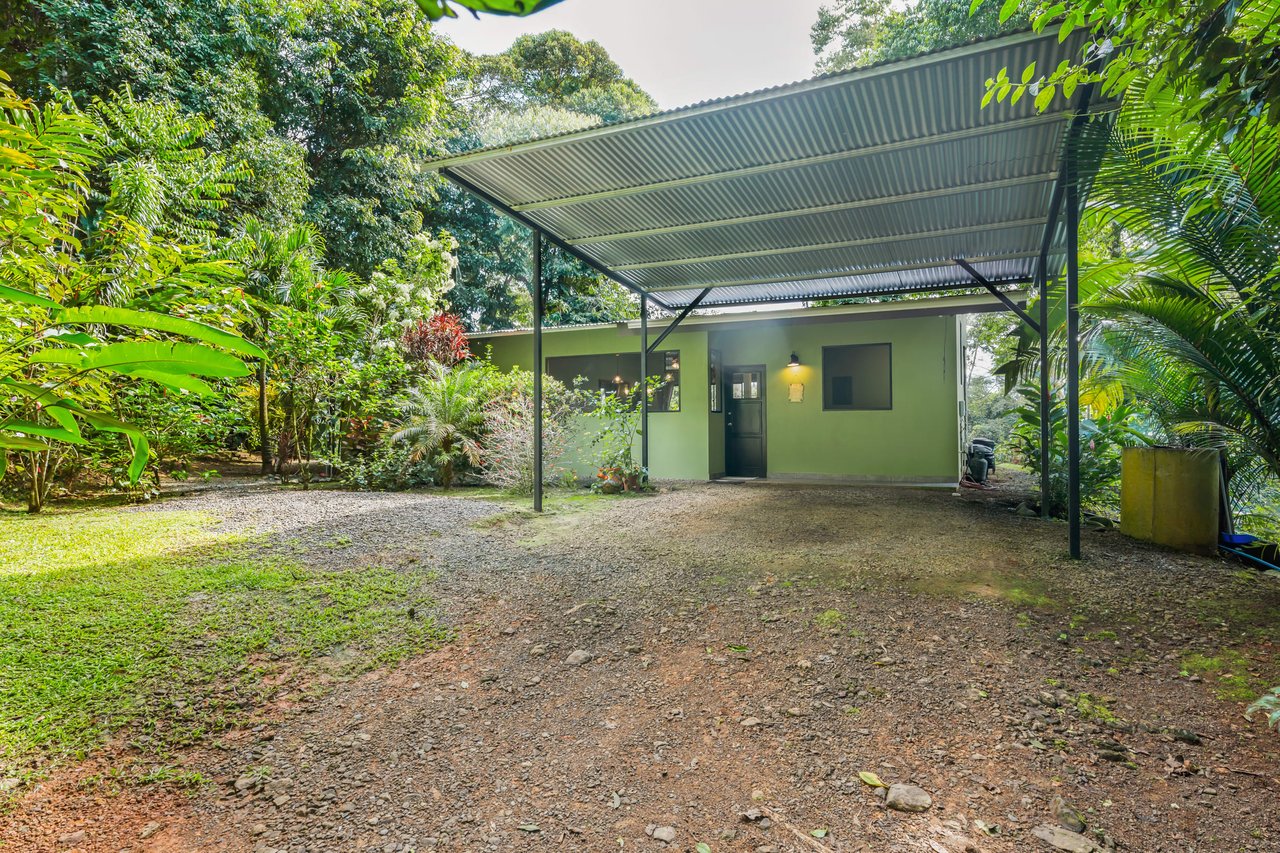 Tropical Villas on 11 Acres of Jungle. Great Location for a Retreat!