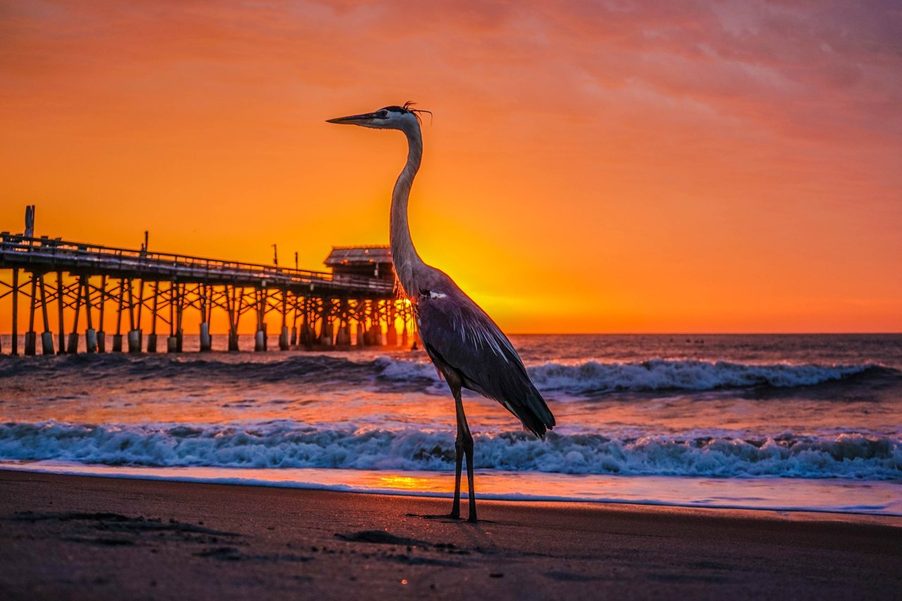 Cocoa Beach