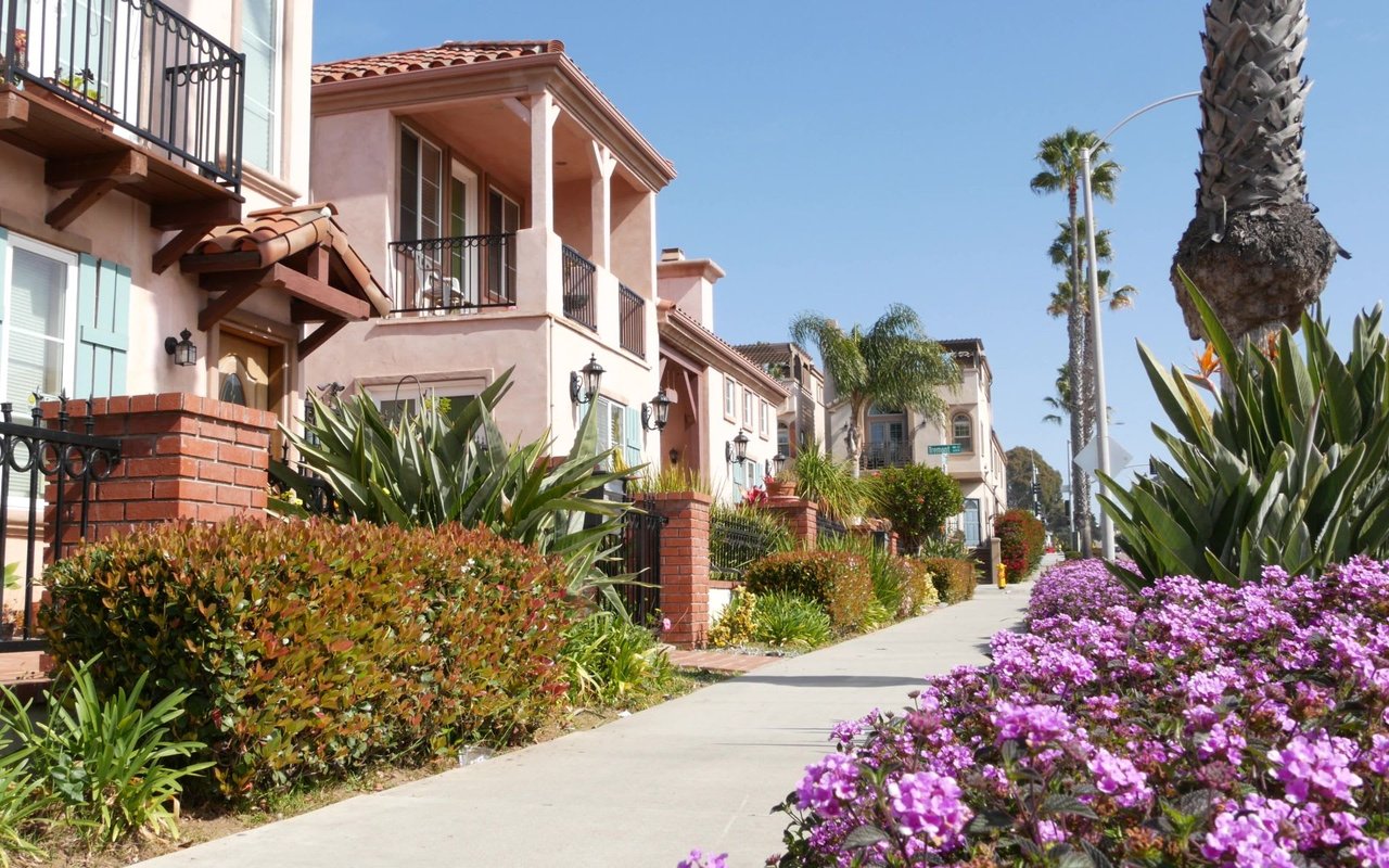 A row of houses next to a sidewalk with purple flowers and palm trees