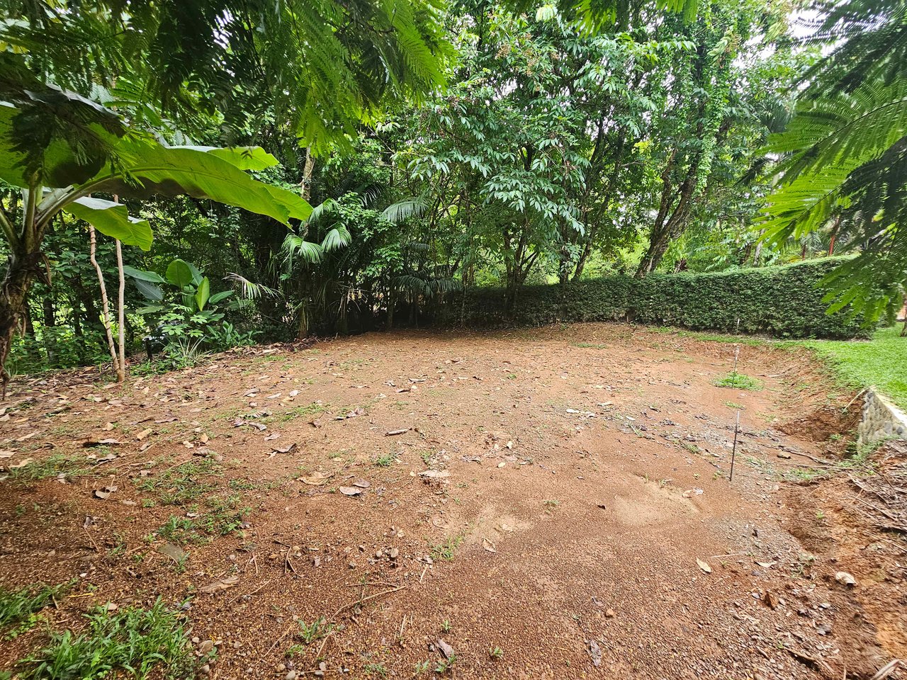 Prime Paradise: Your Opportunity in Uvita