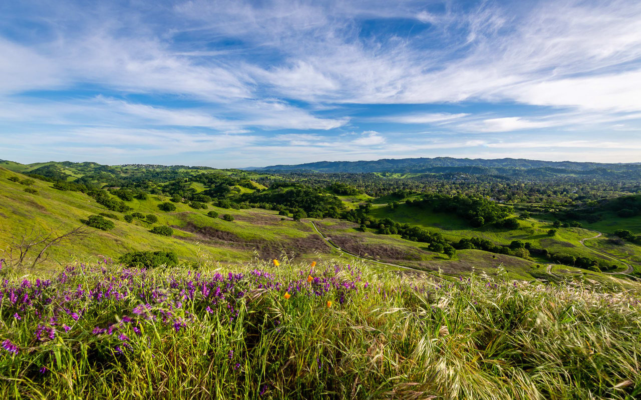 Orinda