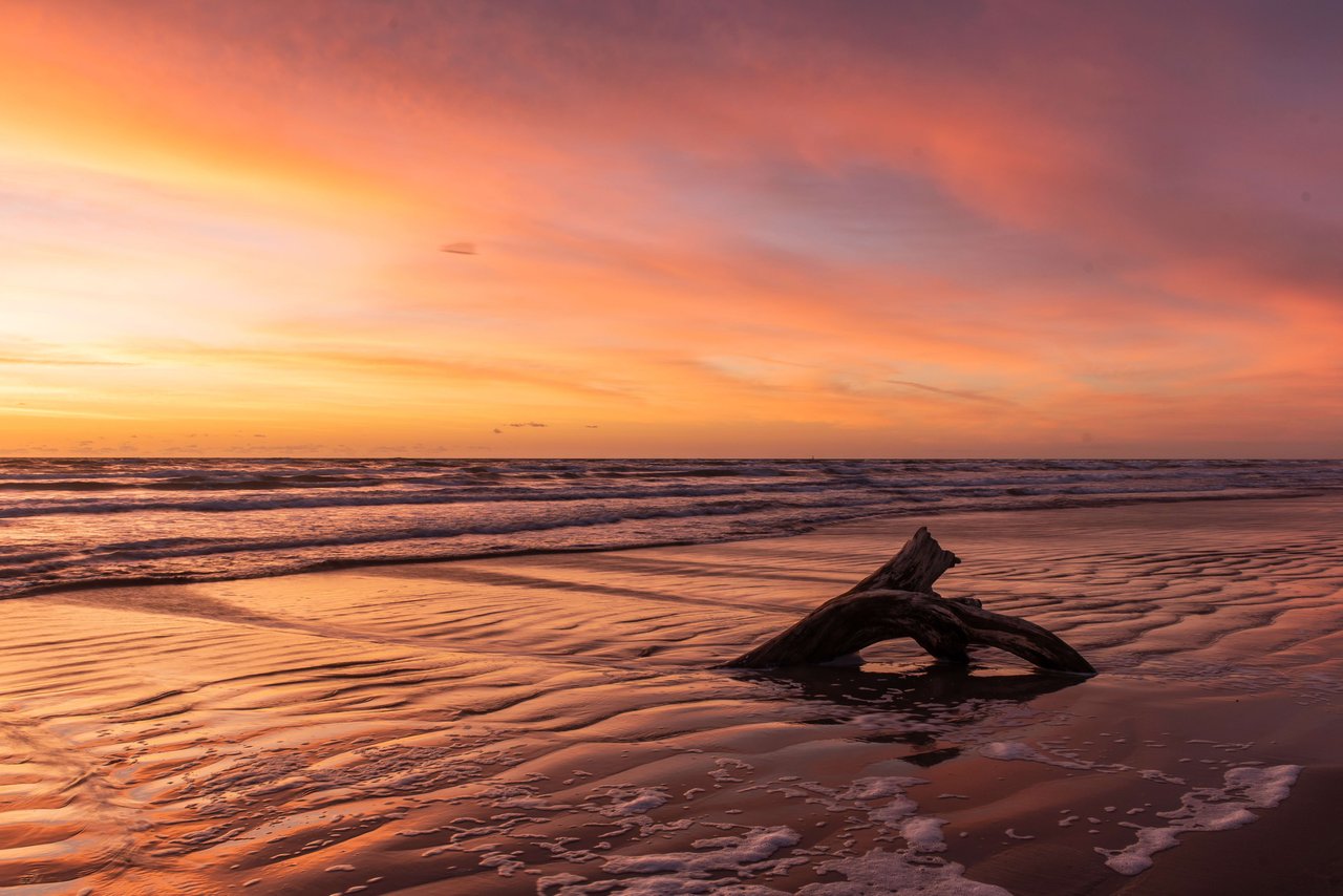 Driftwood