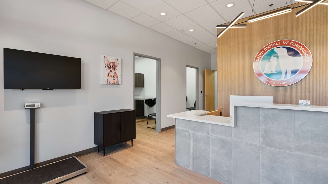 Commercial remodel in Scottsdale, AZ