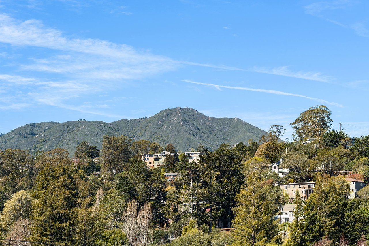 Mount Tamalpais & Valley Views