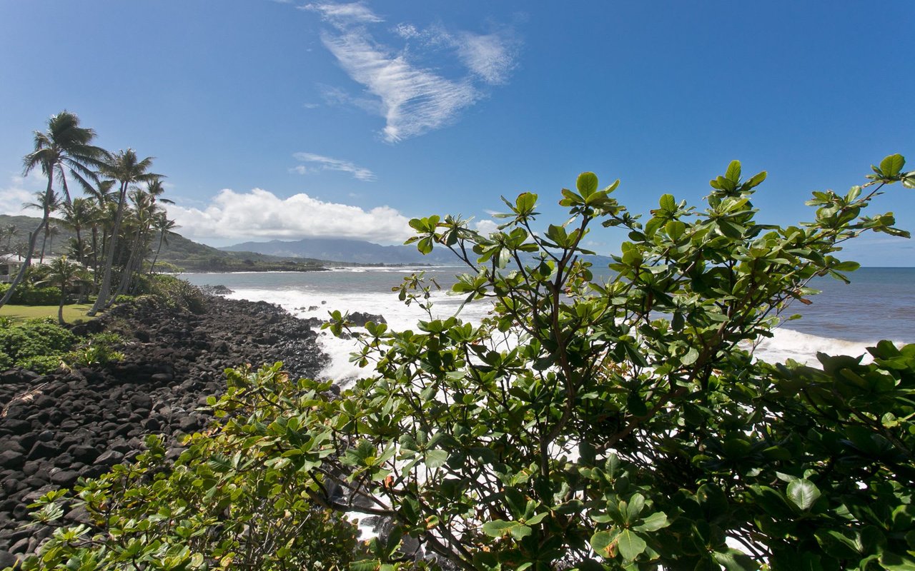 59-779 Kamehameha Highway