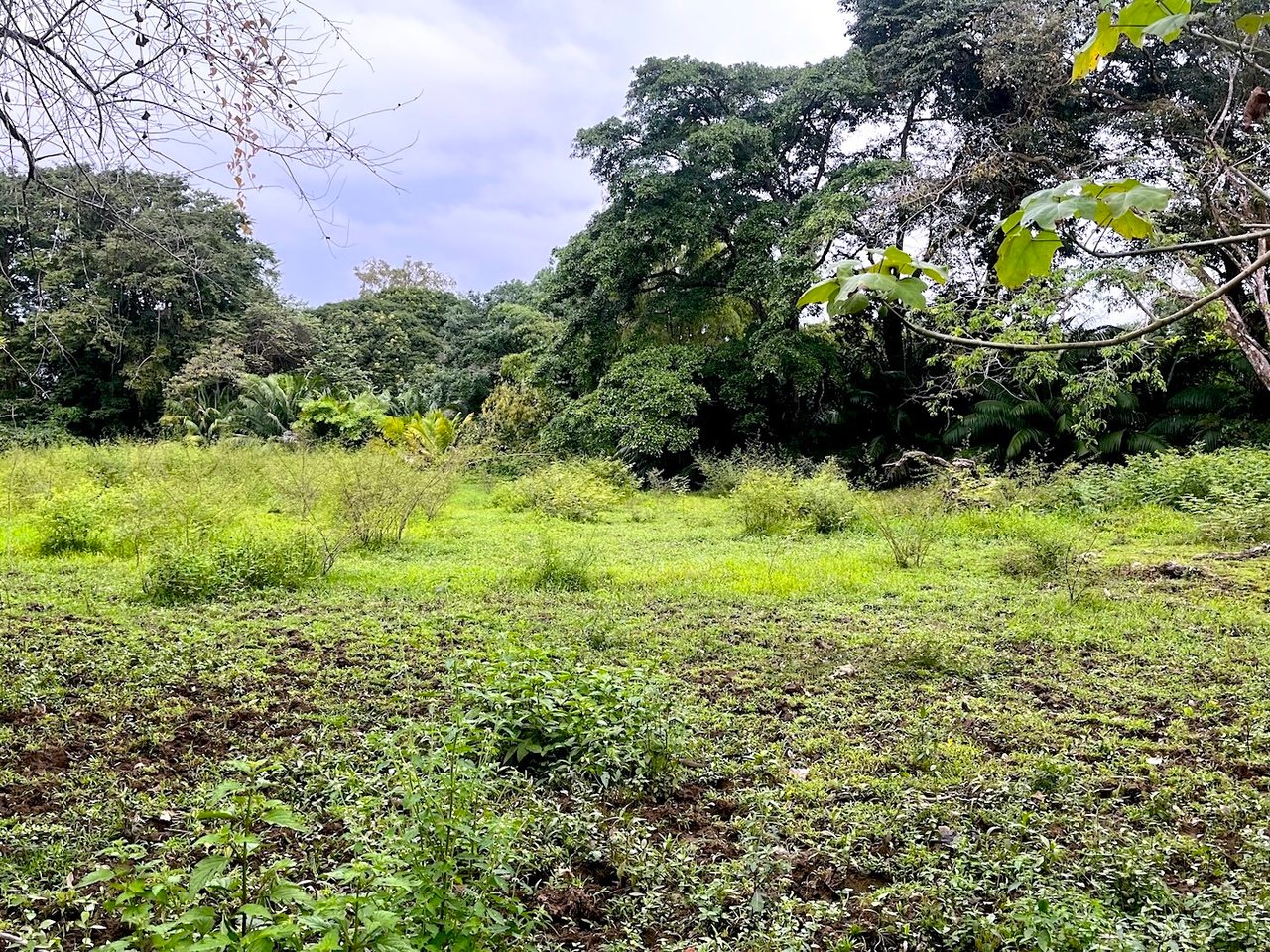 Titled Land Steps from the Beach, Uvita, Puntarenas