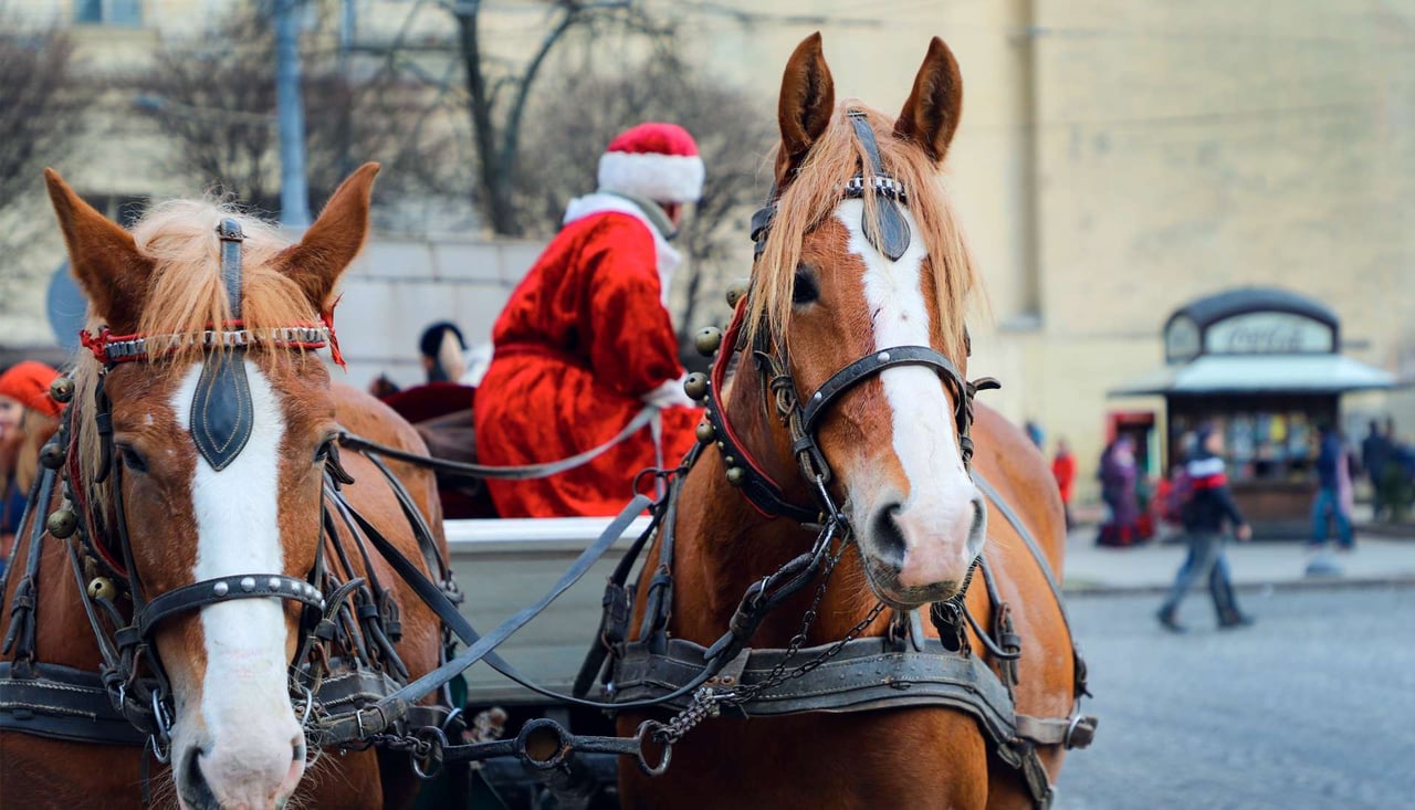 Photos with Santa & Horse-Drawn Carriage Rides