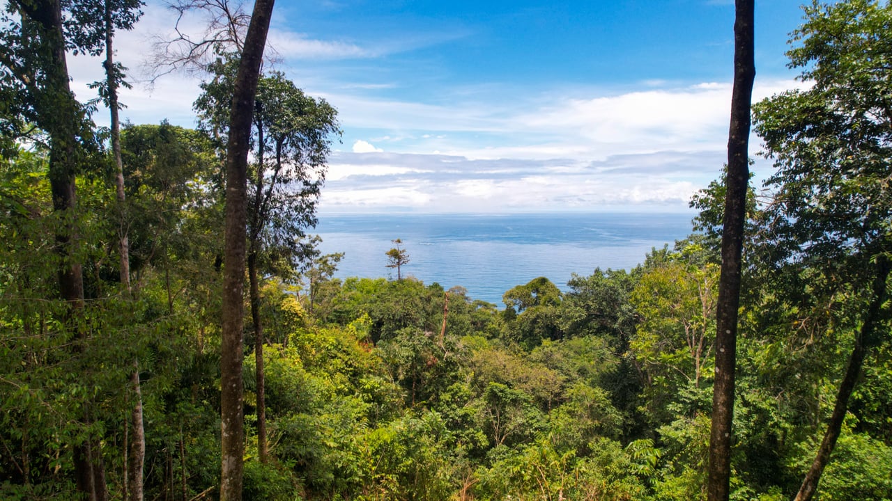 Ocean View Development Parcels, Dominical, Puntarenas