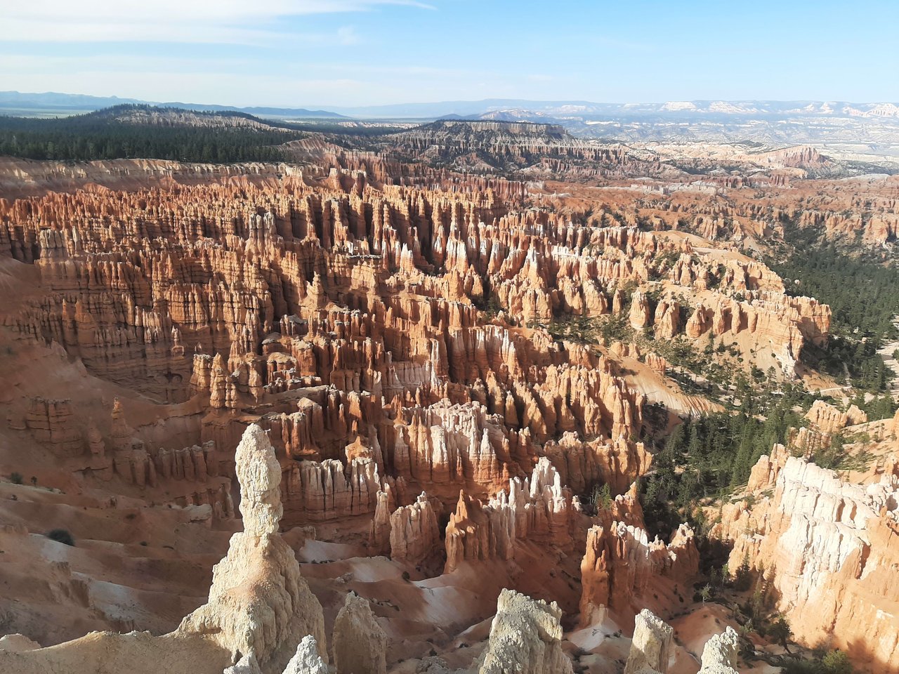 National Parks Trip with Ella and Herc