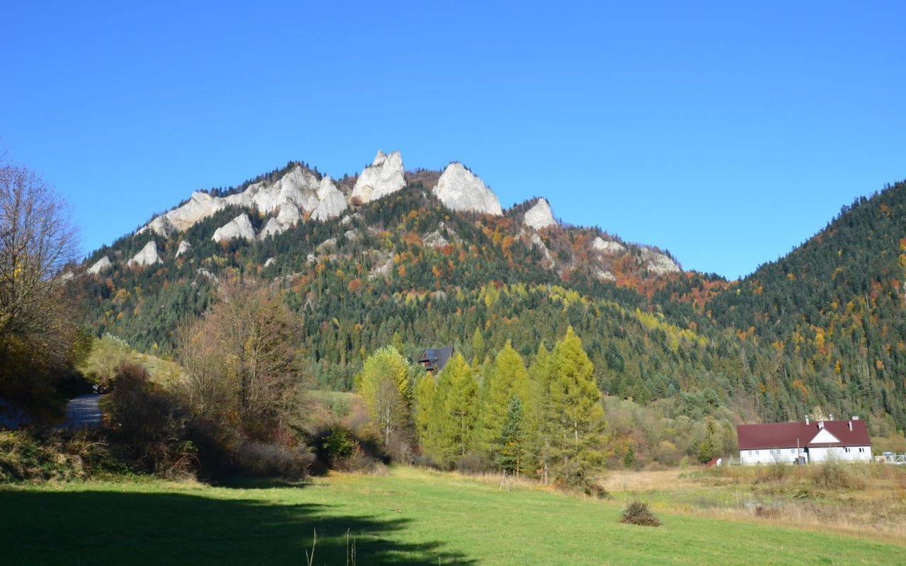 Crown Valley