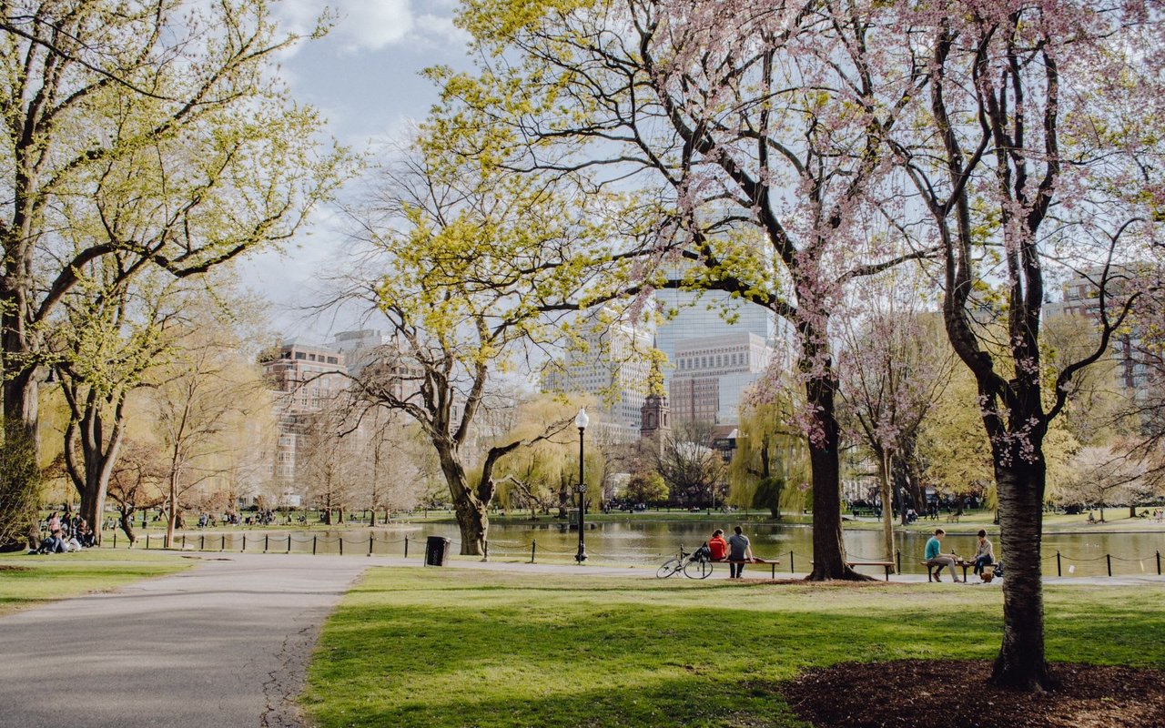 5 Things To Do Your First Week in Jamaica Plain