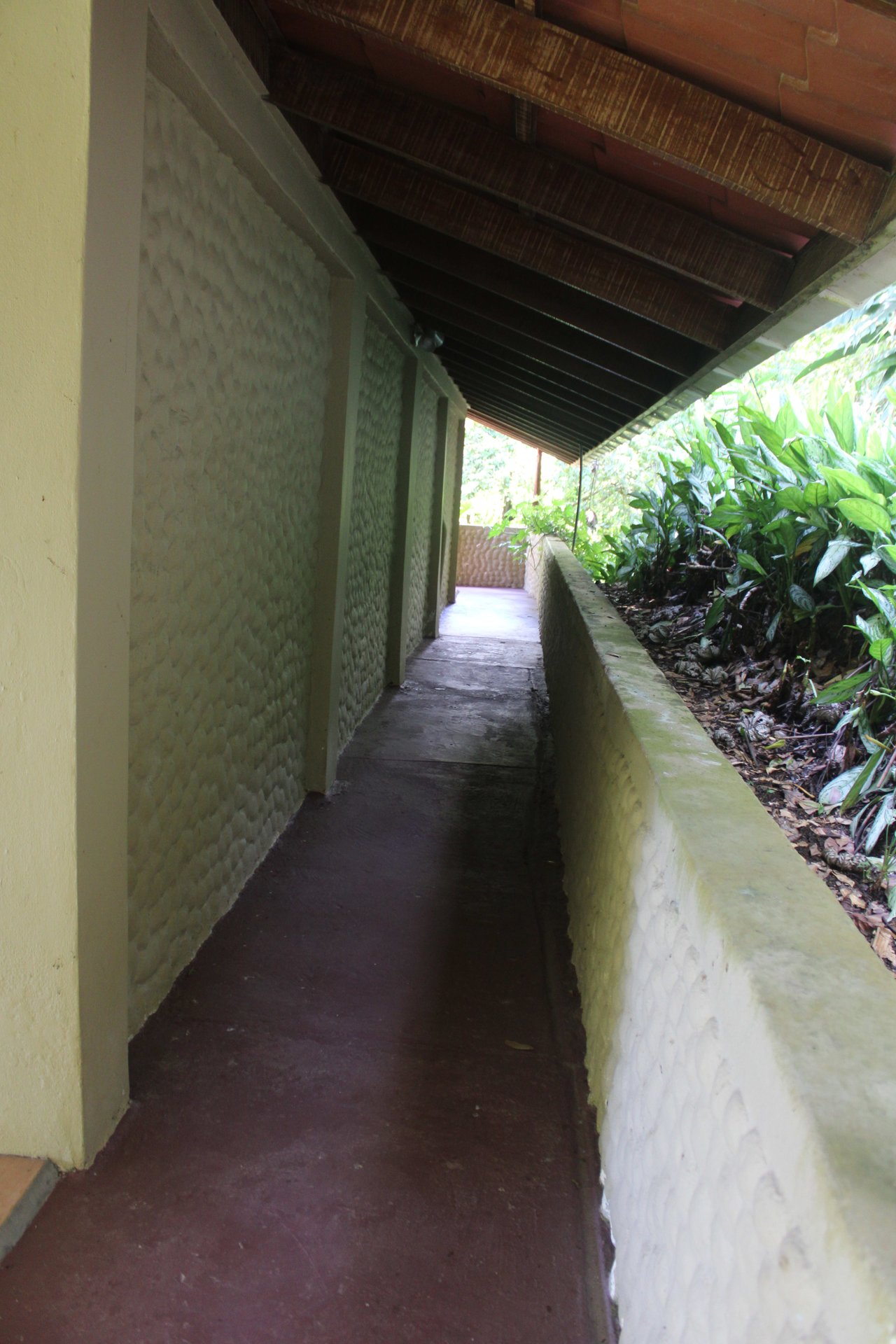 Income Producing Property with Ocean View close to Dominical