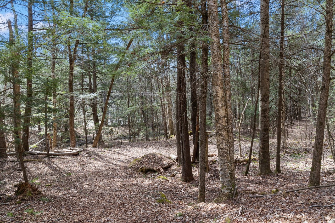 Lot #3 Riverbend Road Bath, NH 03740